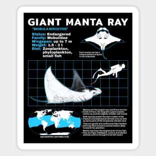 Manta ray factsheet Magnet